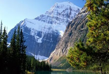 开云体育在线-蒙特雷挑战西悉尼流浪者，南美德比激烈升级