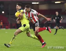 谢菲联高调进军，夺得冠军荣耀