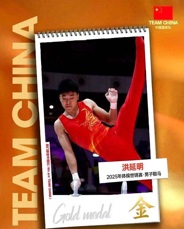关于中国体操队全面获胜，再添两枚金牌的信息