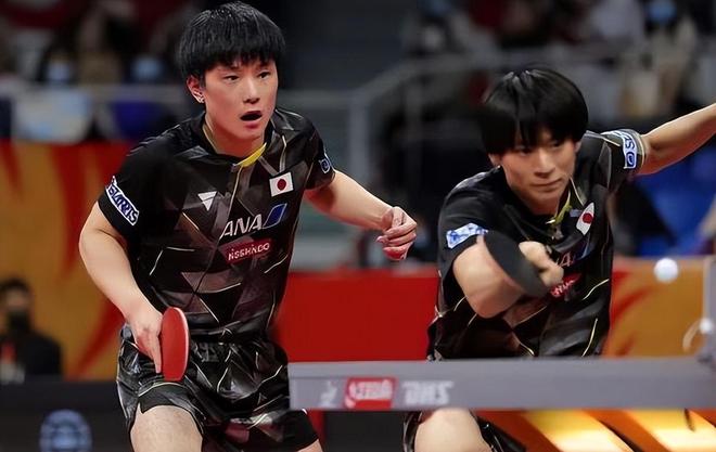 包含法国队逆转瑞典队，张本智和统治全场的词条