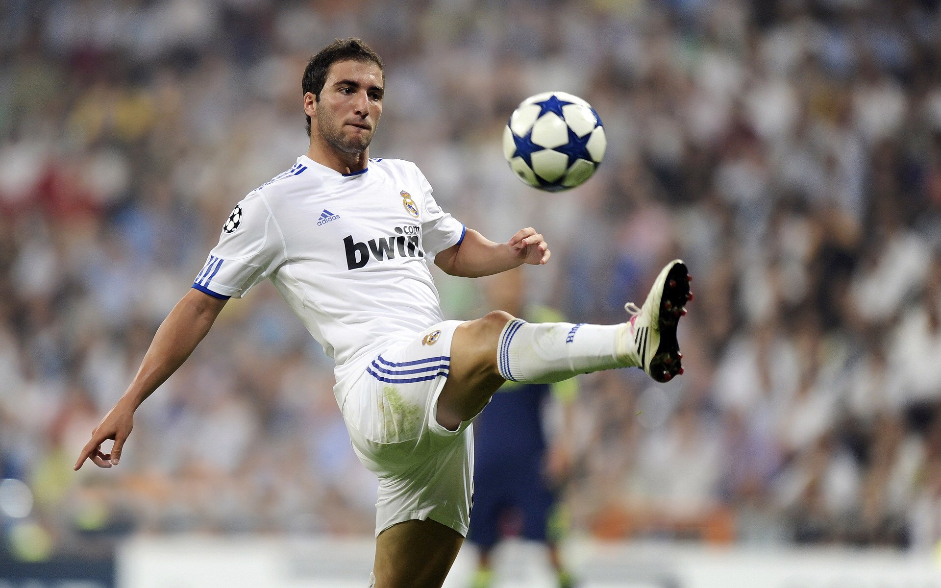 降维打击与孤胆英雄，日本乒乓的精密齿轮，与那道劈开铁幕的惊雷